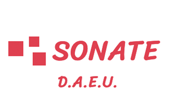 Diplôme d'Accès aux Études Universitaires - SONATE 